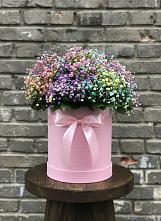 Цветочная композиция из Гипсофила и Розы в шляпной коробке в Орджоникидзевском