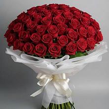 Букет 101 Красная роза Блэк Мэджик в Орджоникидзевском