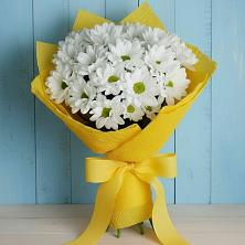 Букет цветов из:  Хризантемы в Орджоникидзевском