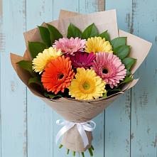 Букет цветов из:  Герберы в Орджоникидзевском