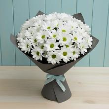 Букет цветов из:  Хризантемы #REPLACE_PRED# Орджоникидзевском