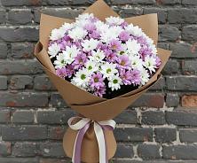 Букет цветов из:  Хризантемы в Орджоникидзевском