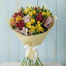 Букет цветов из:  Альстромерии в Орджоникидзевском