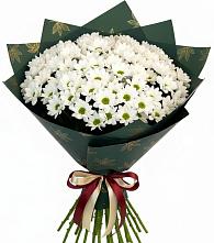 Букет цветов из:  Хризантемы в Орджоникидзевском