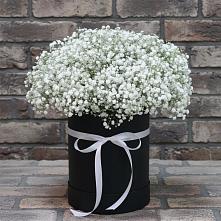 Цветочная композиция из Гипсофила в шляпной коробке #REPLACE_PRED# Орджоникидзевском