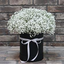 Цветочная композиция из Гипсофила в шляпной коробке в Орджоникидзевском