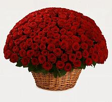 Премиум букет из: Розы в Орджоникидзевском