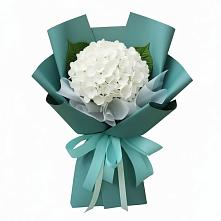 Букет цветов из:  Гортензия в Орджоникидзевском